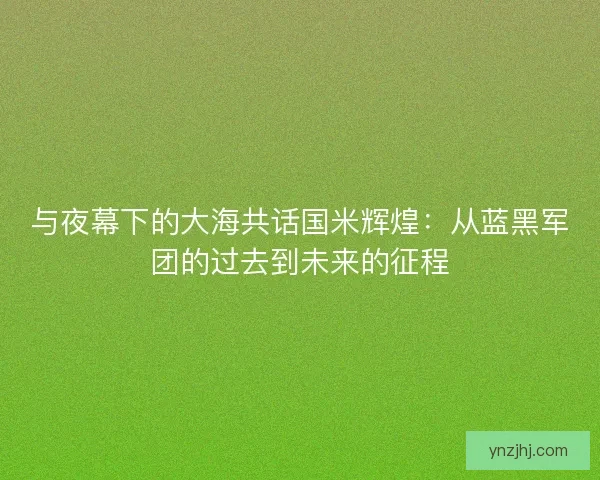 与夜幕下的大海共话国米辉煌:从蓝黑军团的过去到未来的征程 与夜幕下的大海共话国米辉煌:从蓝黑军团的过去到未来的征程