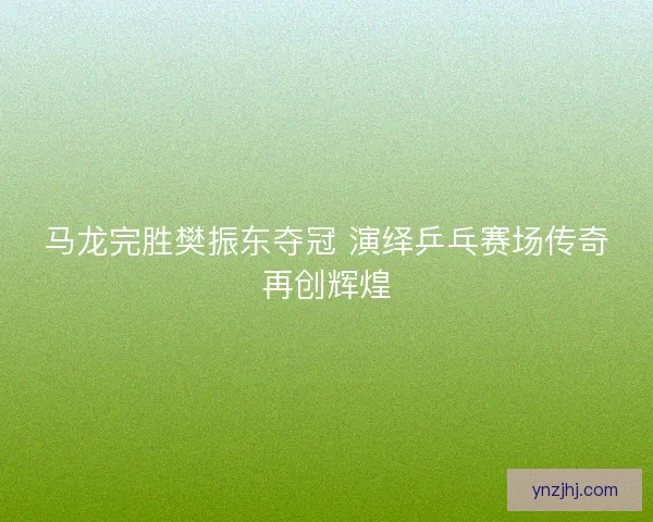 马龙完胜樊振东夺冠 演绎乒乓赛场传奇再创辉煌