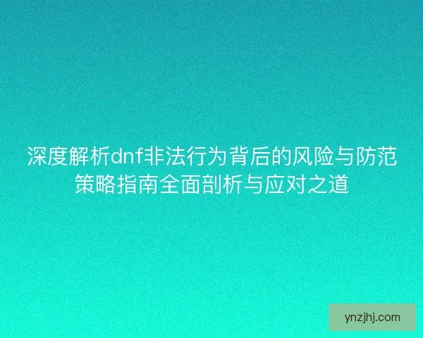 深度解析dnf非法行为背后的风险与防范策略指南全面剖析与应对之道