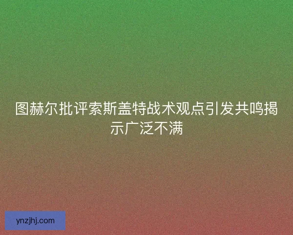 图赫尔批评索斯盖特战术观点引发共鸣揭示广泛不满